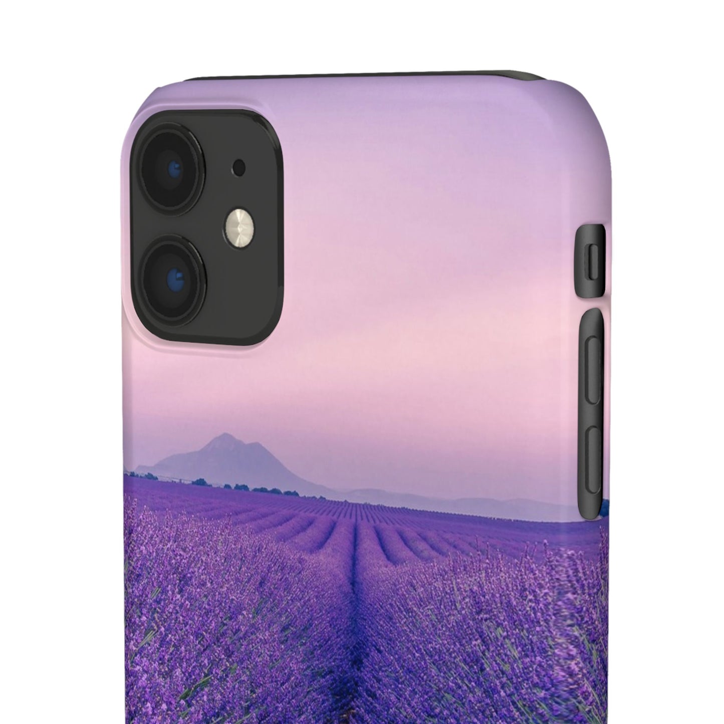 Lavender Fields Cajasol - A Floral Touch for Nature Lovers