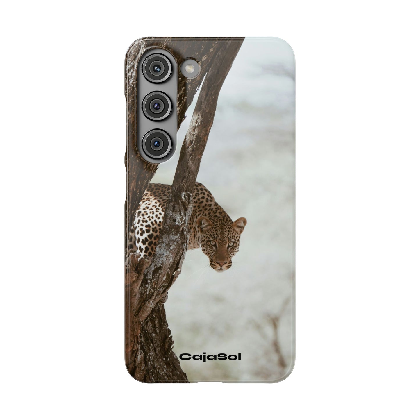 Leopard Cajasol - Wildlife Vibes