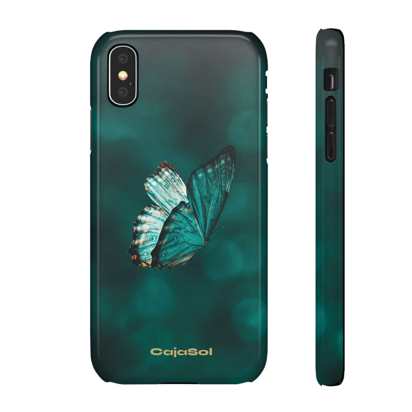 Butterfly Cajasol - Perfect for Nature Lovers
