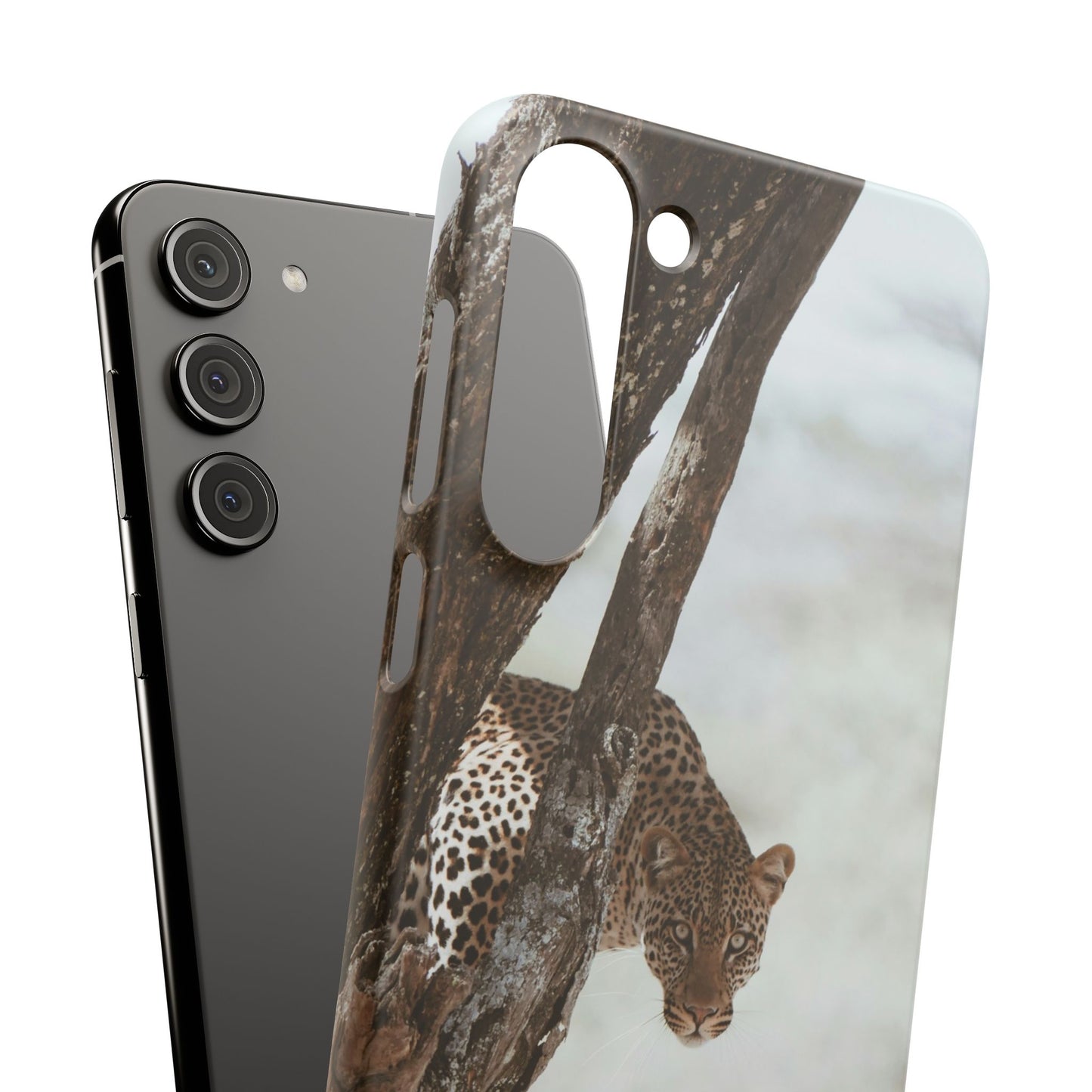 Leopard Cajasol - Wildlife Vibes