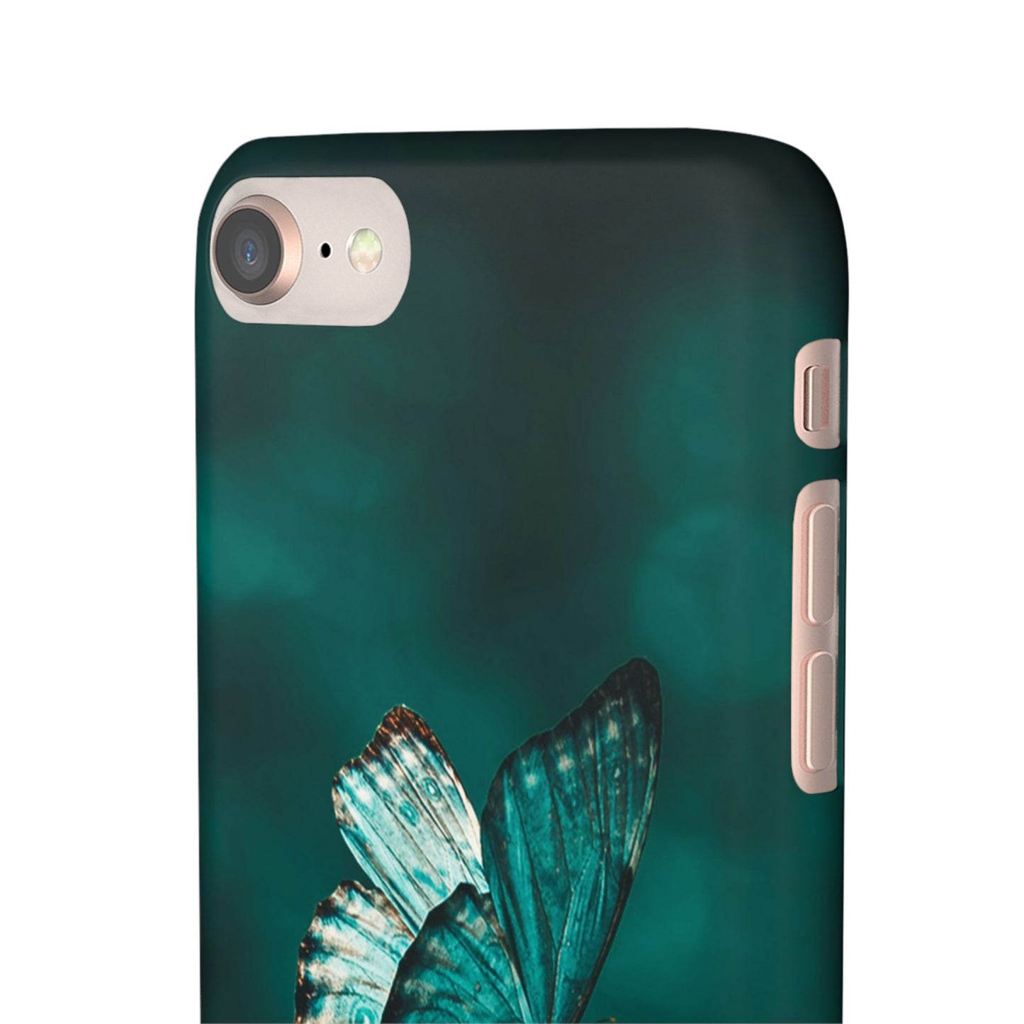 Butterfly Cajasol - Perfect for Nature Lovers