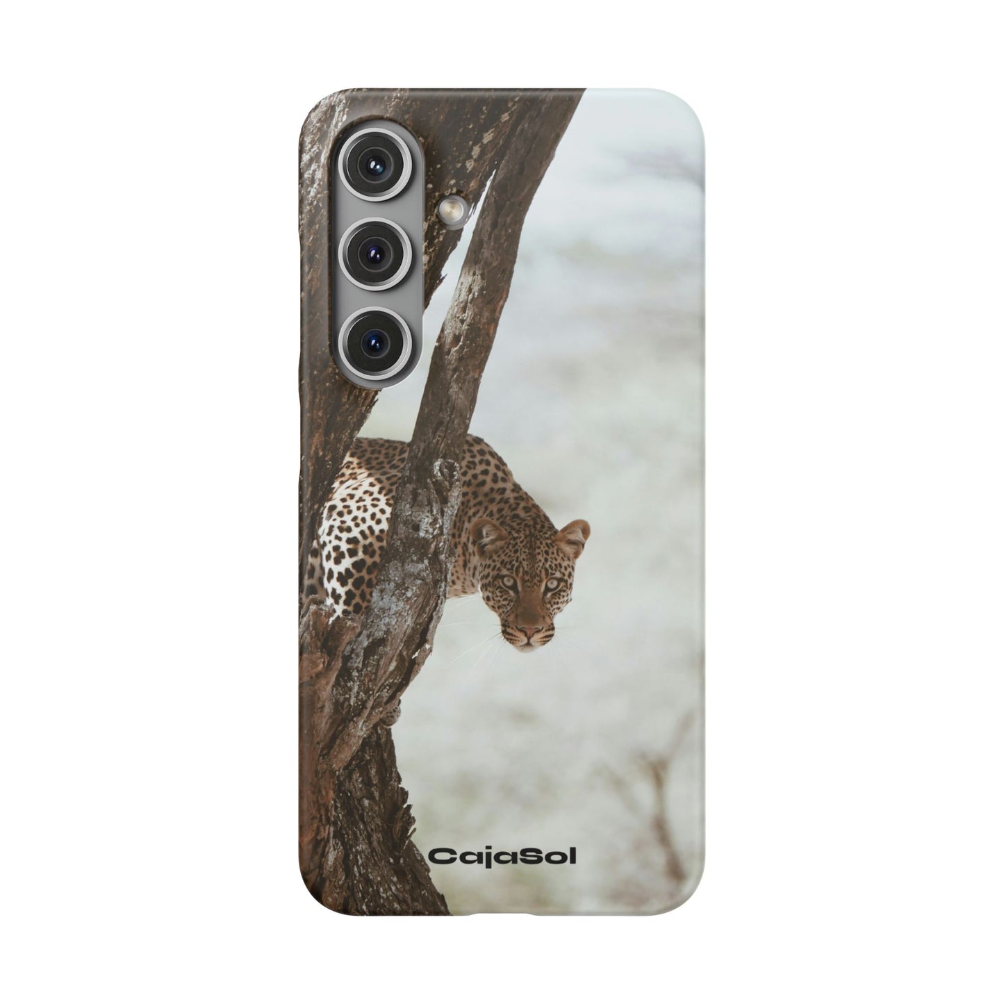 Leopard Cajasol - Wildlife Vibes