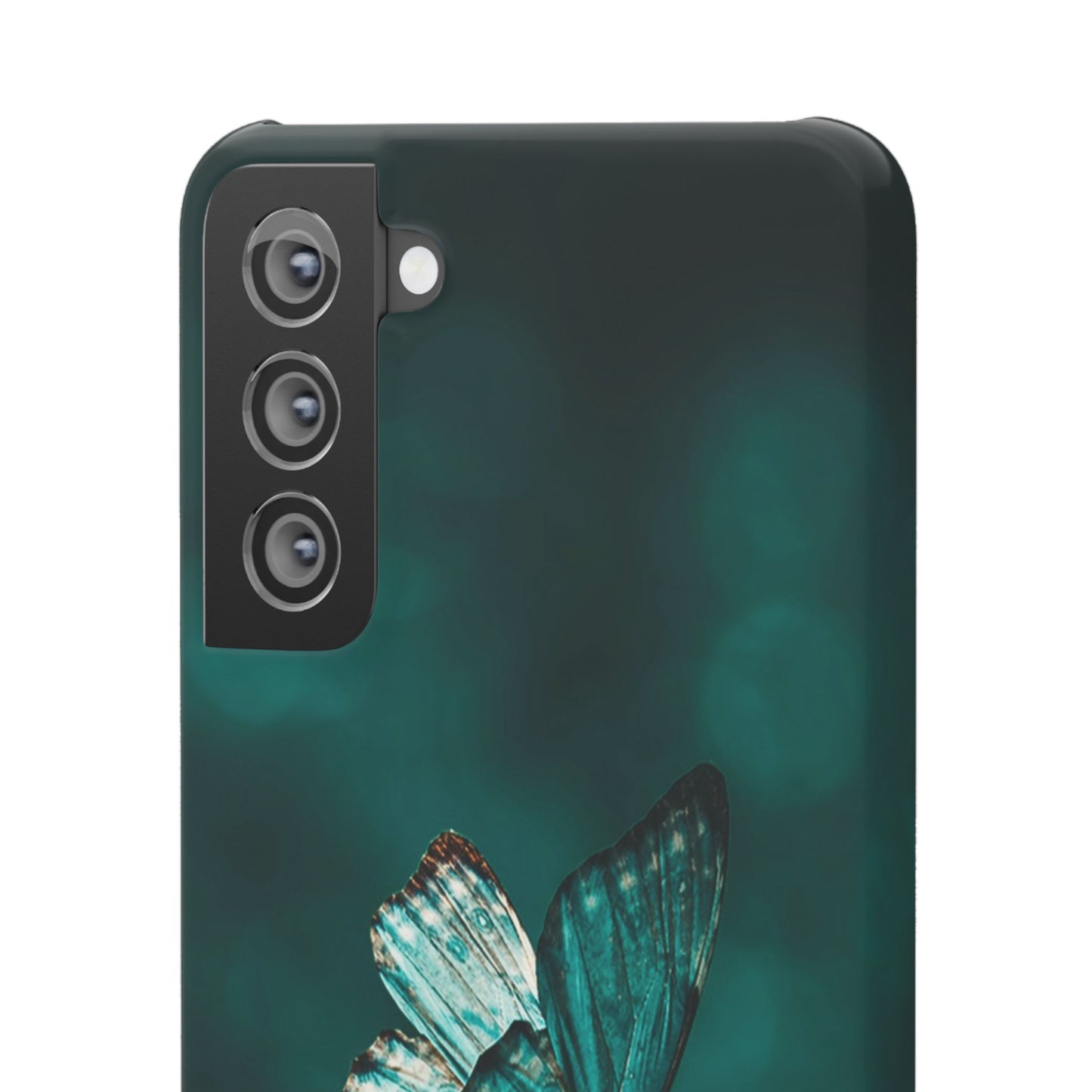 Butterfly Cajasol - Perfect for Nature Lovers
