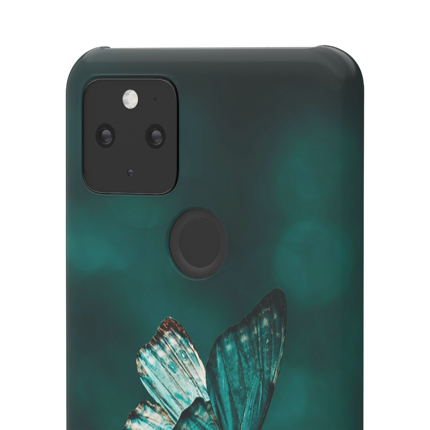 Butterfly Cajasol - Perfect for Nature Lovers