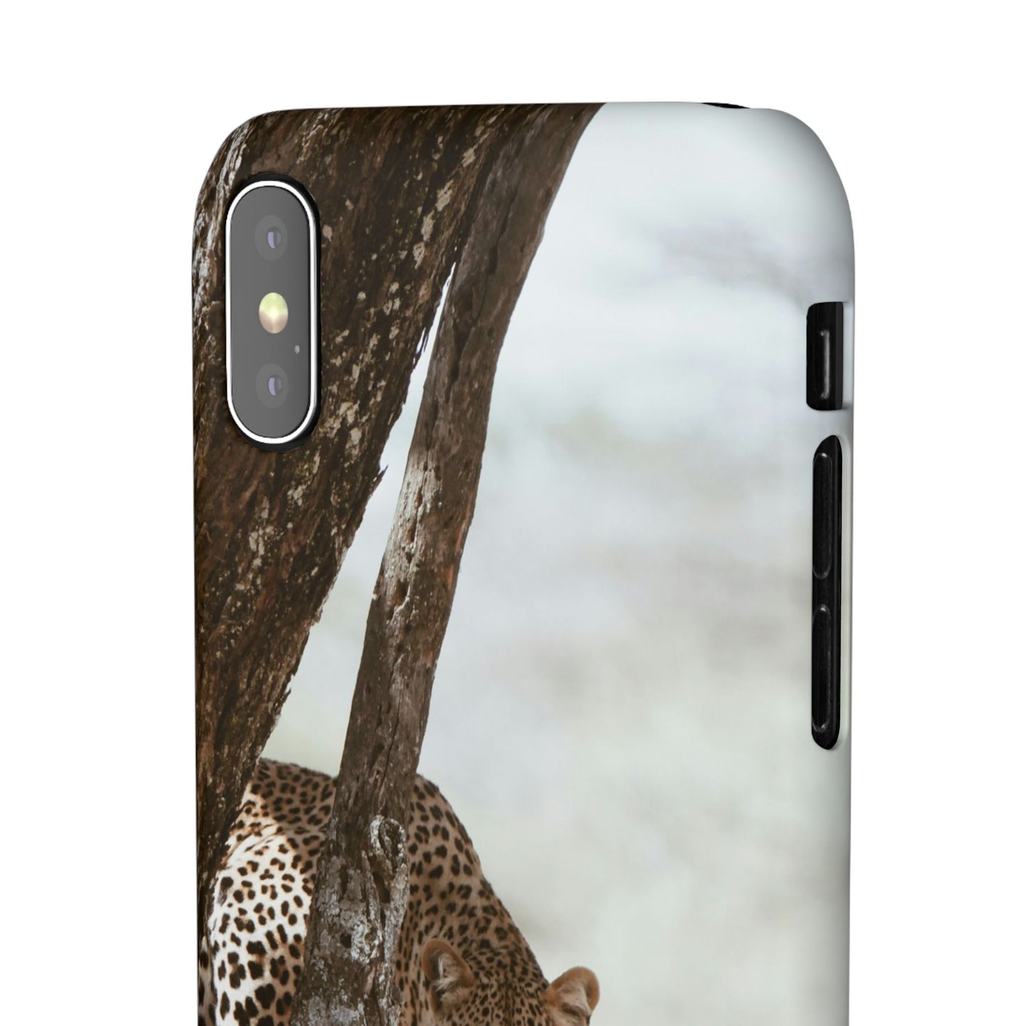 Leopard Cajasol - Wildlife Vibes