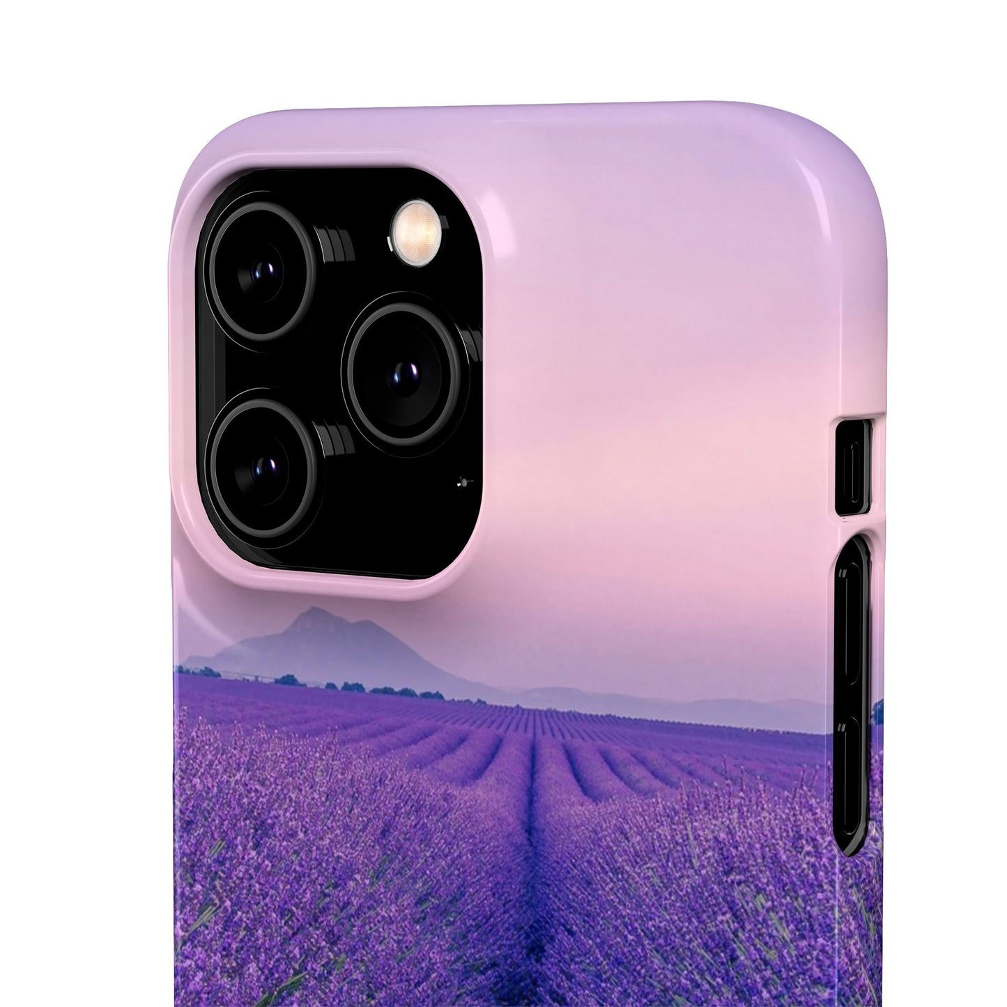 Lavender Fields Cajasol - A Floral Touch for Nature Lovers