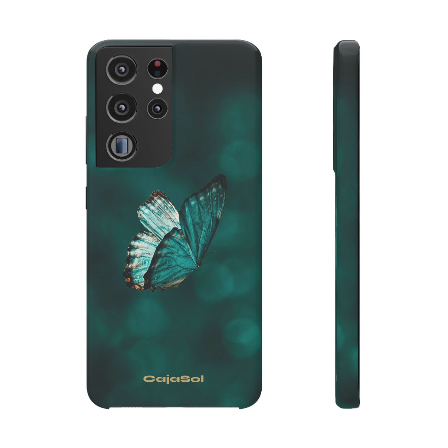 Butterfly Cajasol - Perfect for Nature Lovers
