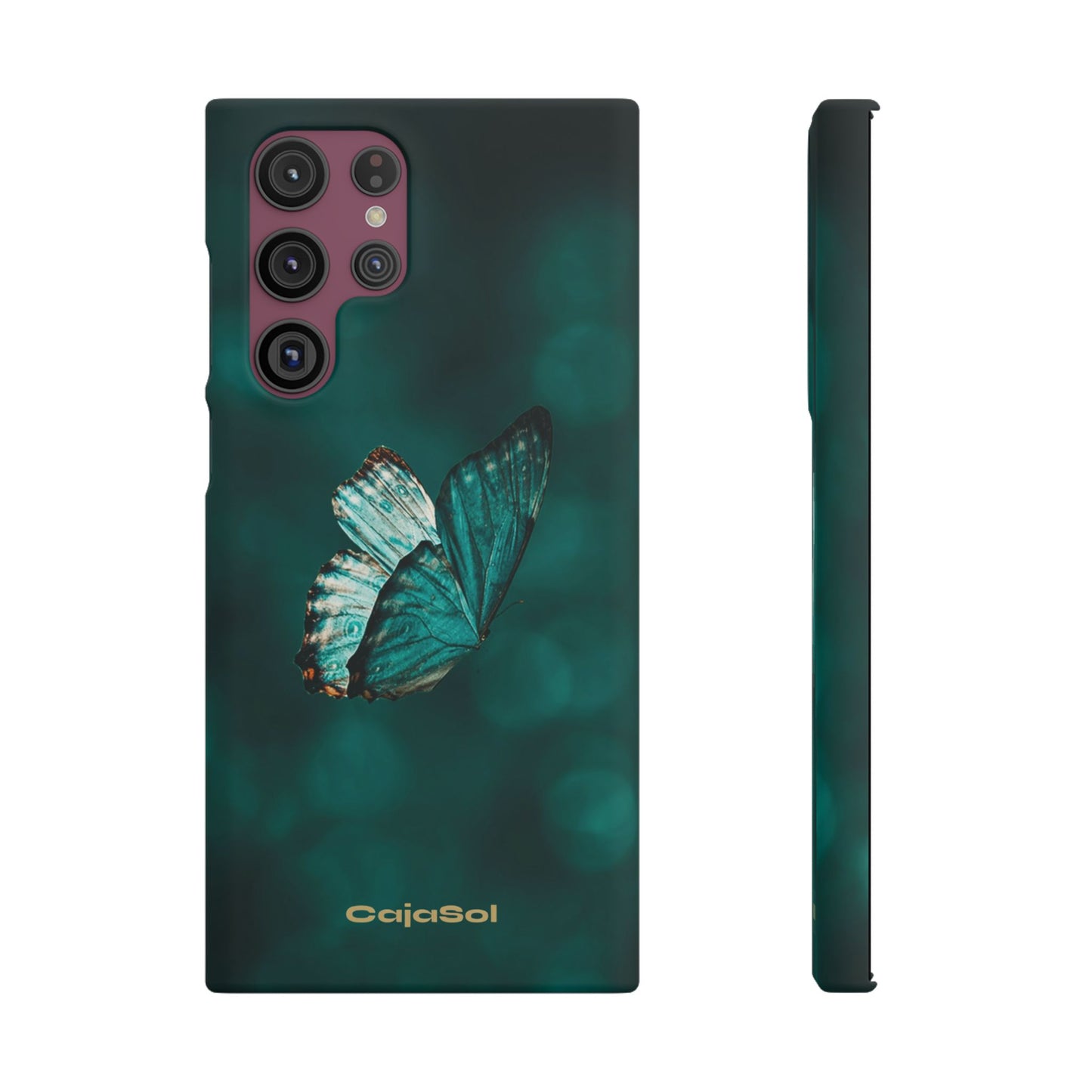 Butterfly Cajasol - Perfect for Nature Lovers
