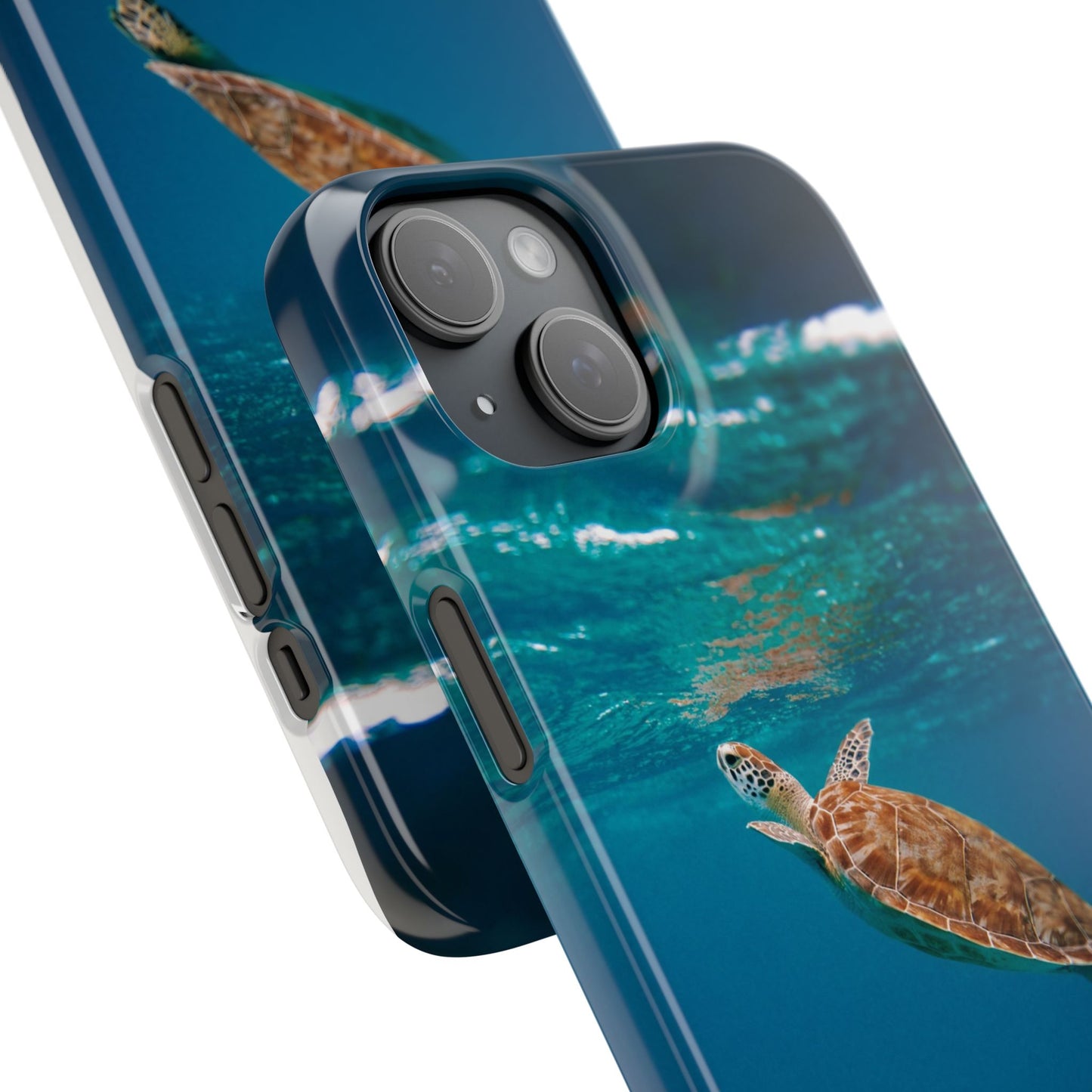 Sea Turtle Cajasol - Perfect for Beach Lovers