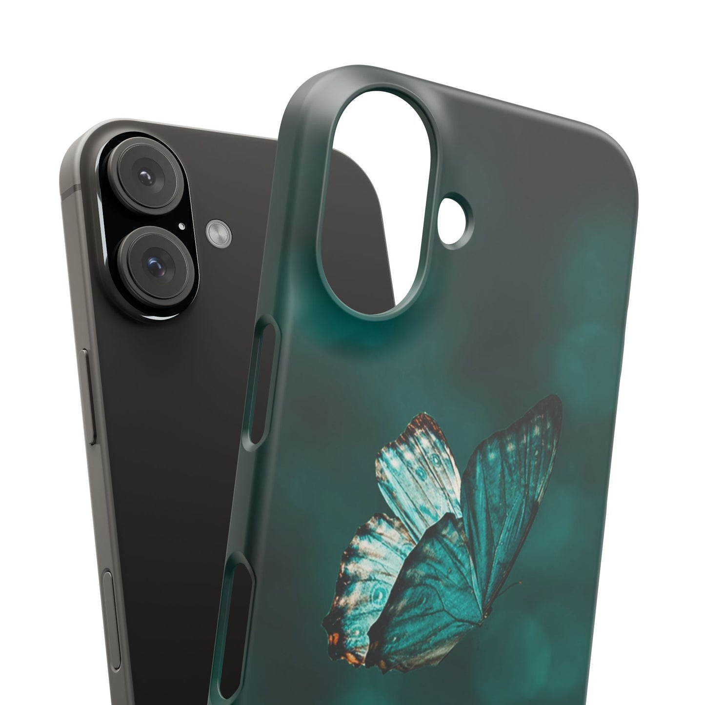 Butterfly Cajasol - Perfect for Nature Lovers