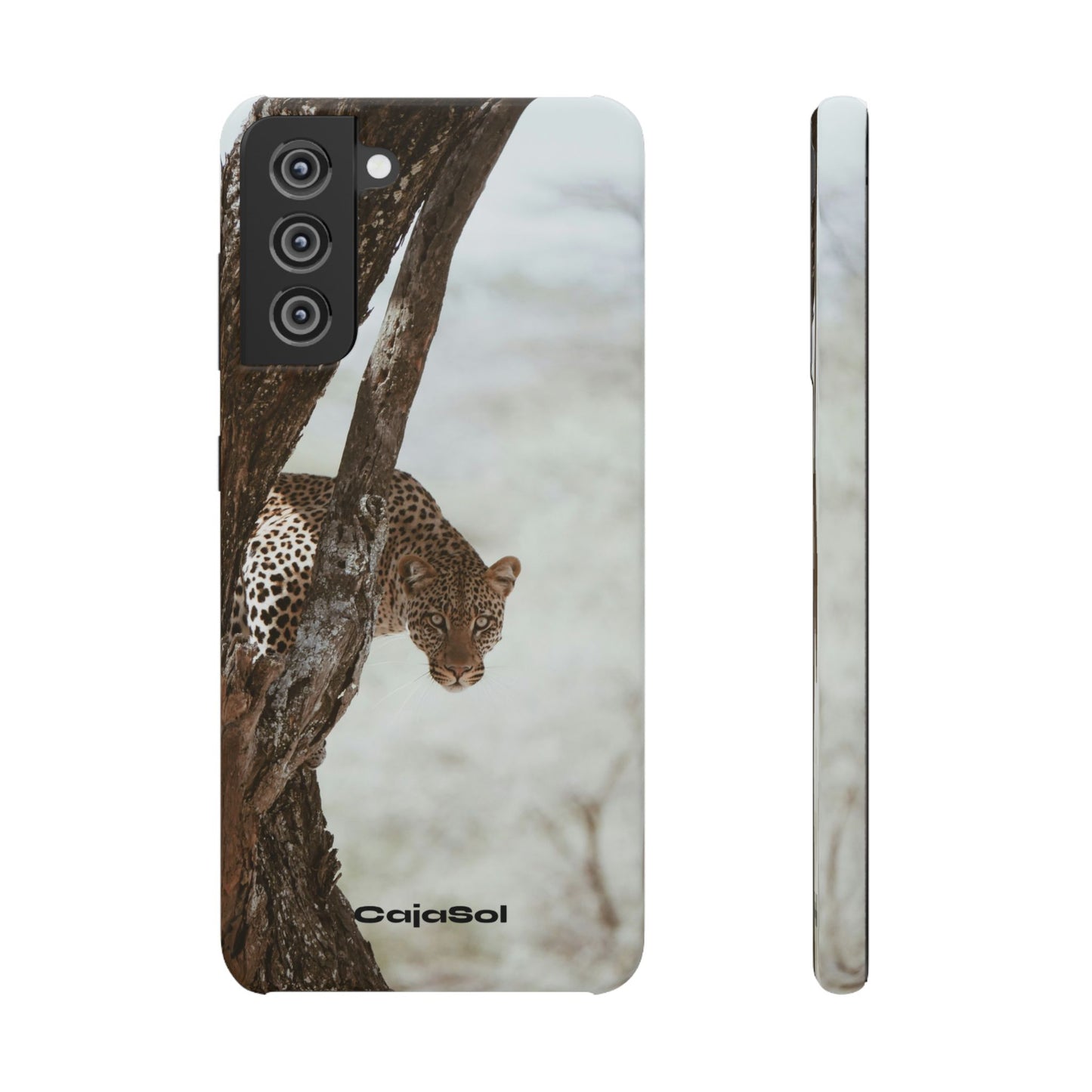 Leopard Cajasol - Wildlife Vibes