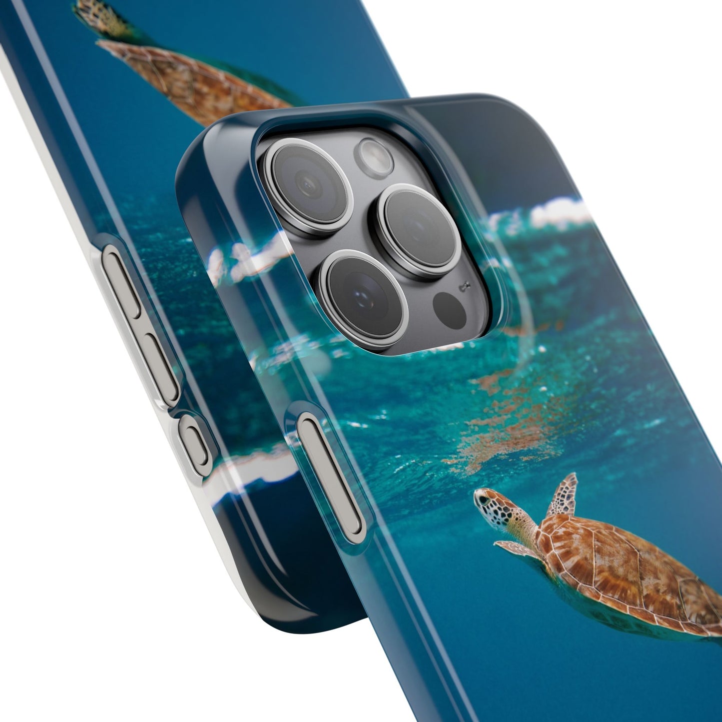Sea Turtle Cajasol - Perfect for Beach Lovers