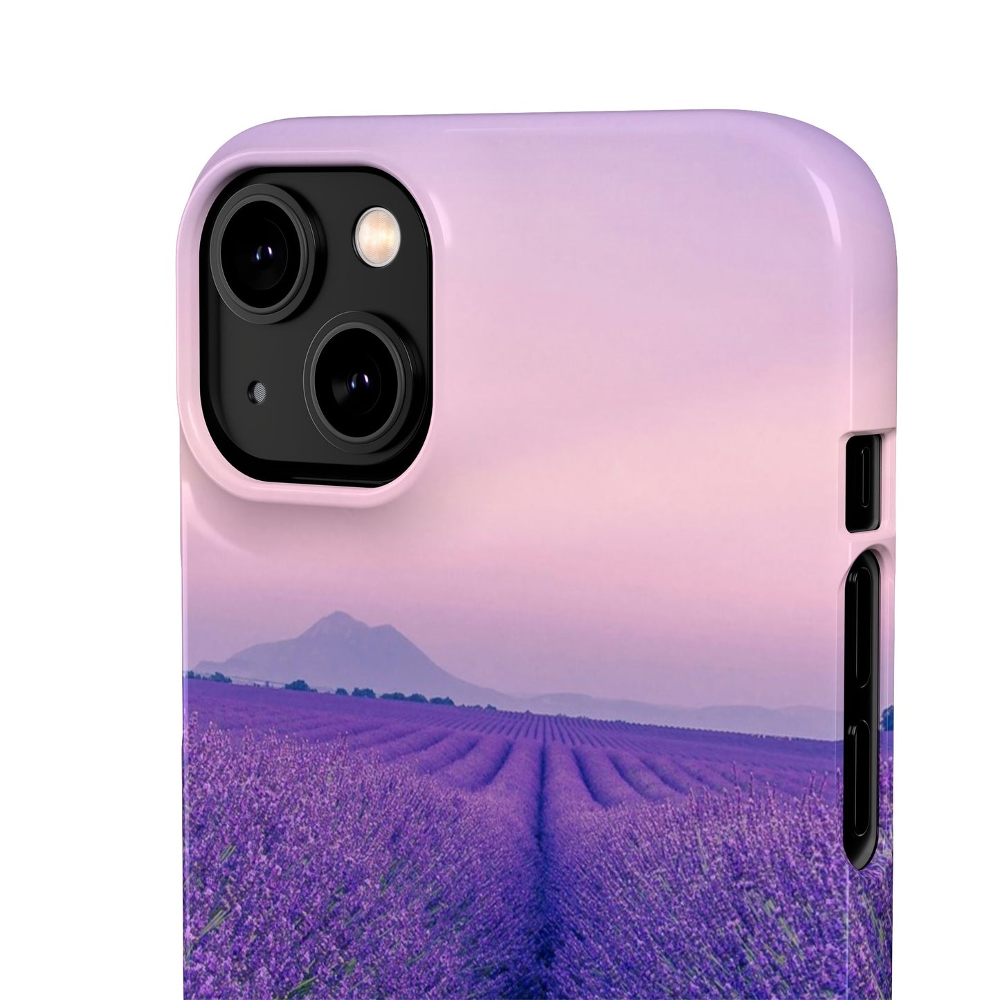 Lavender Fields Cajasol - A Floral Touch for Nature Lovers