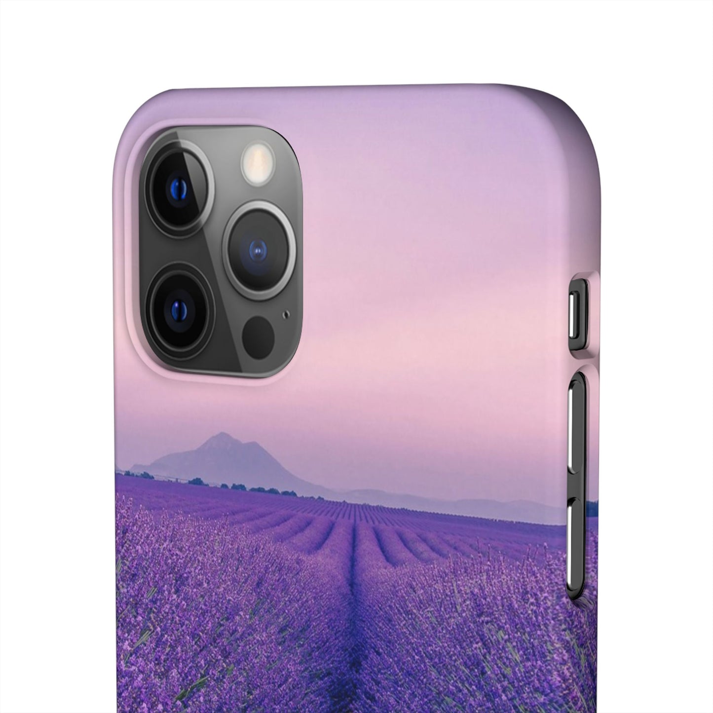 Lavender Fields Cajasol - A Floral Touch for Nature Lovers