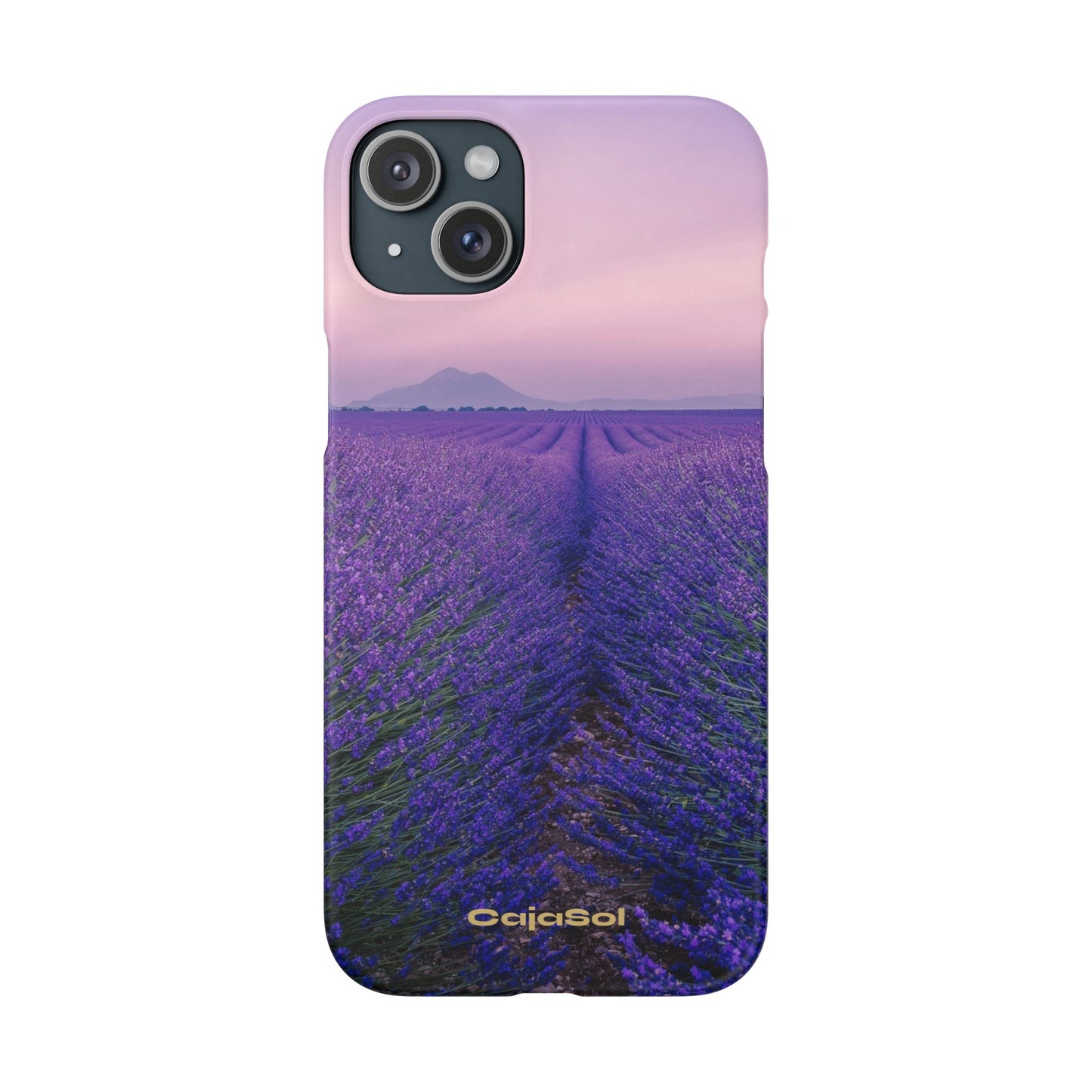 Lavender Fields Cajasol - A Floral Touch for Nature Lovers