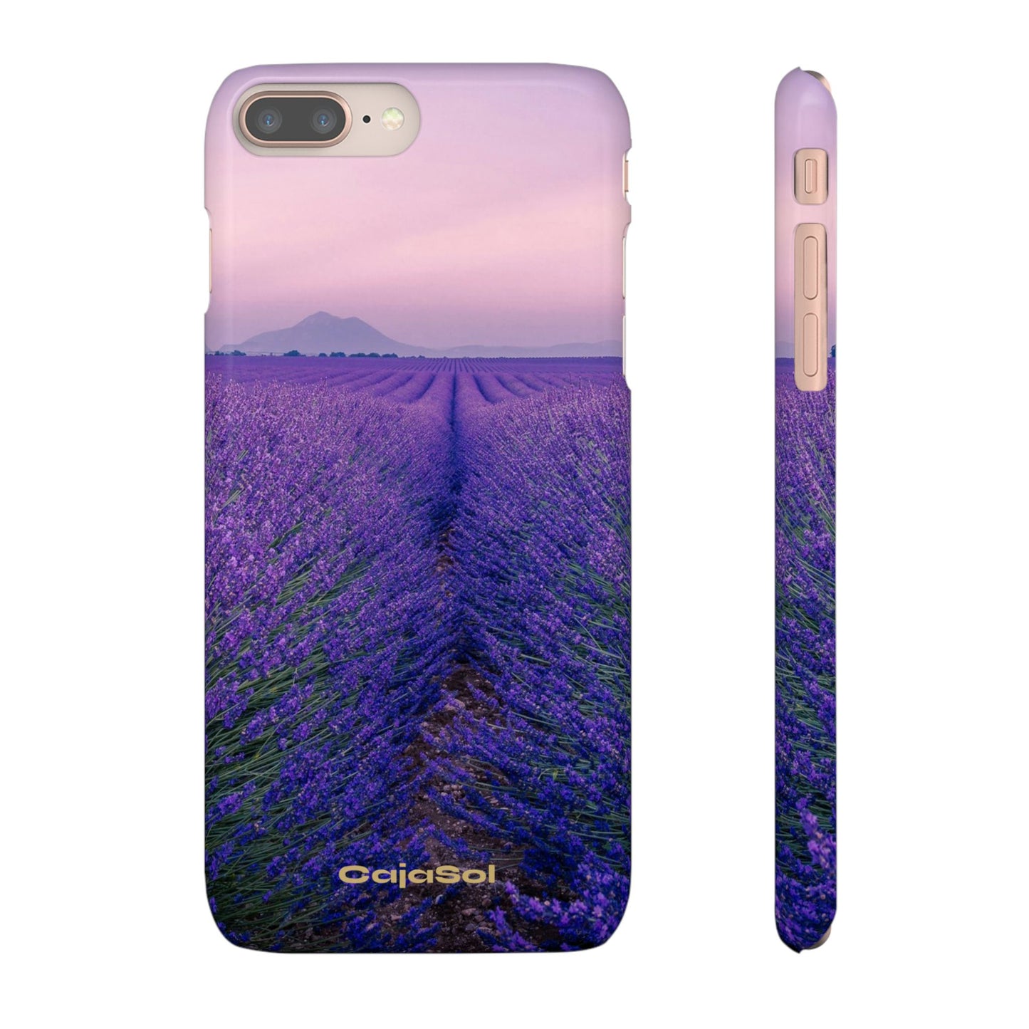 Lavender Fields Cajasol - A Floral Touch for Nature Lovers