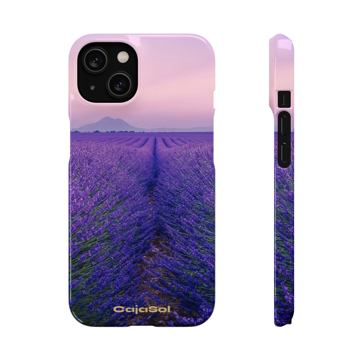Lavender Fields Cajasol - A Floral Touch for Nature Lovers