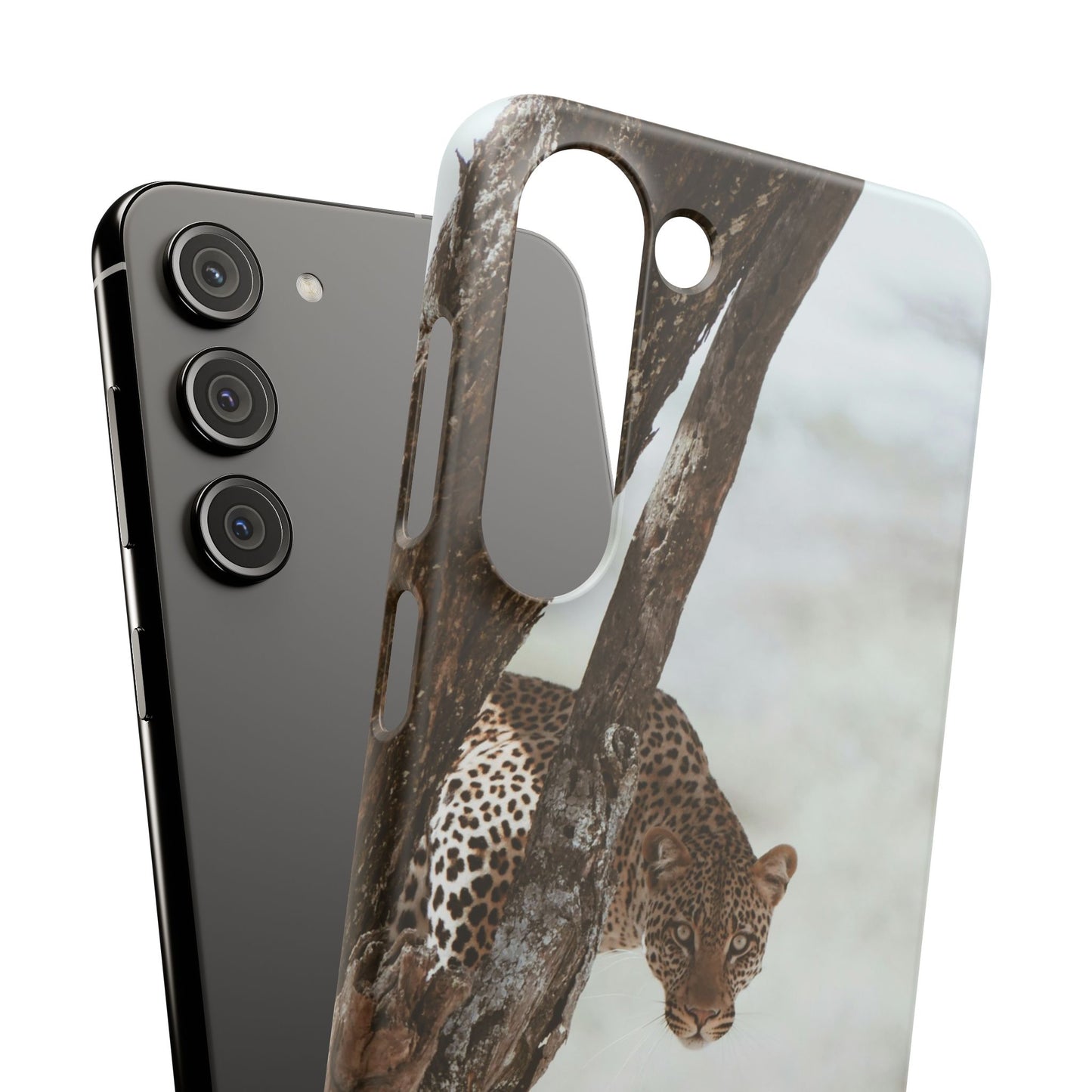 Leopard Cajasol - Wildlife Vibes