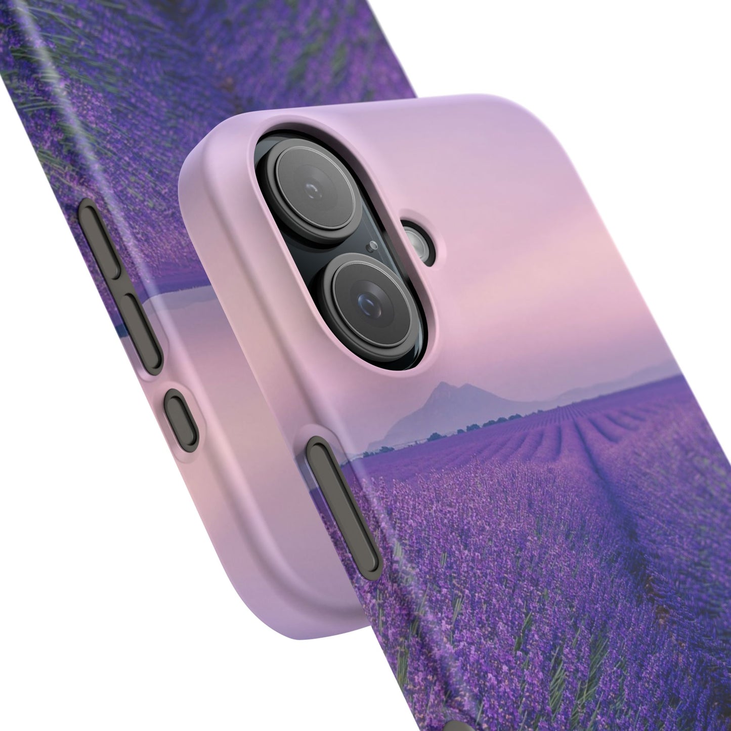 Lavender Fields Cajasol - A Floral Touch for Nature Lovers