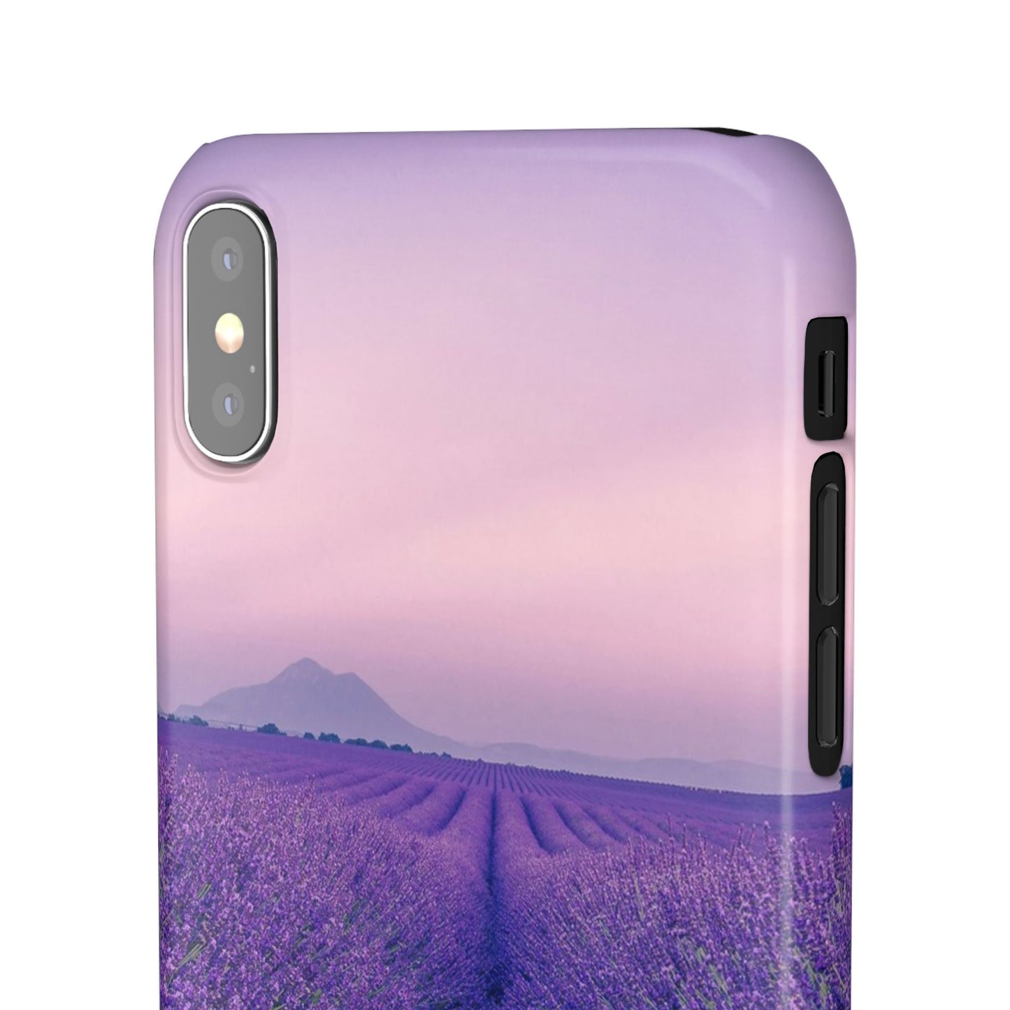 Lavender Fields Cajasol - A Floral Touch for Nature Lovers