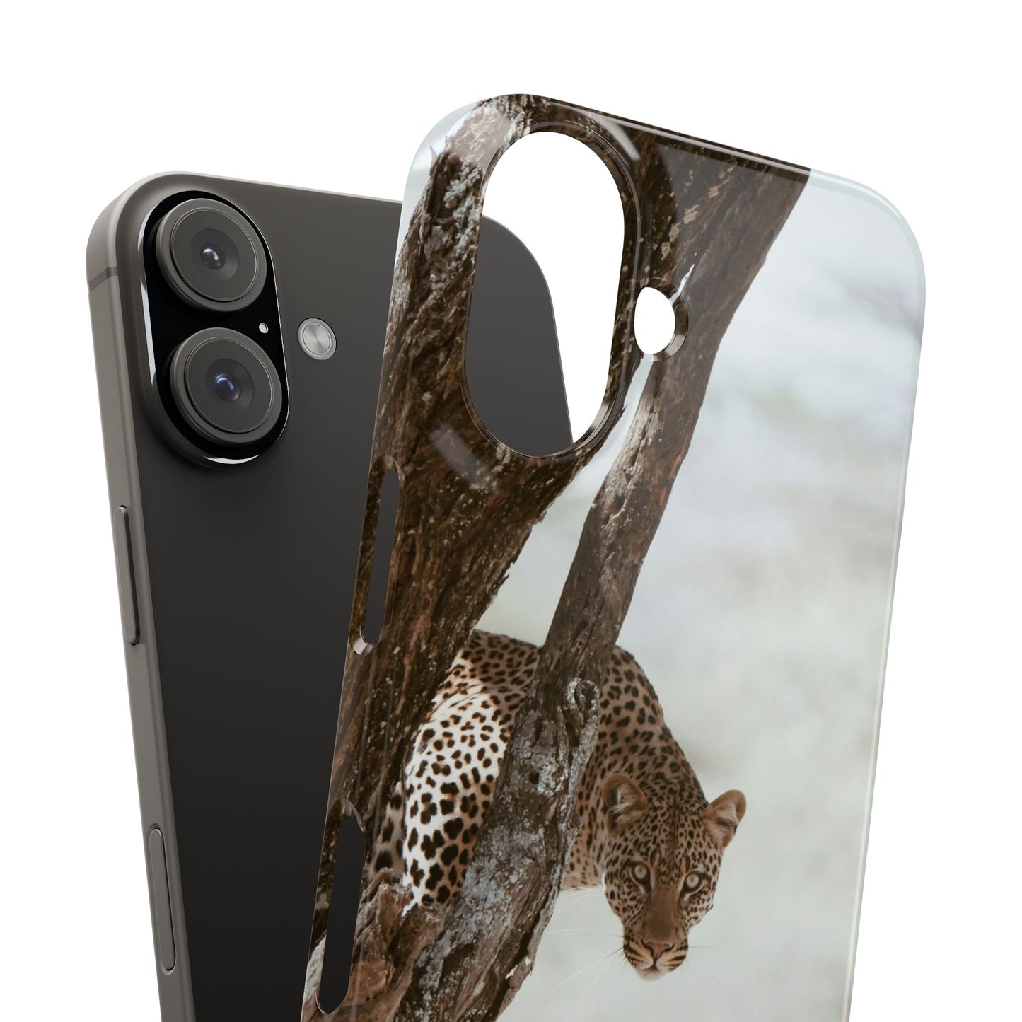 Leopard Cajasol - Wildlife Vibes