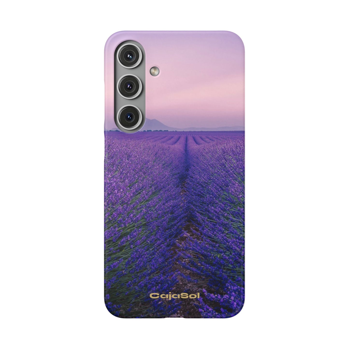 Lavender Fields Cajasol - A Floral Touch for Nature Lovers