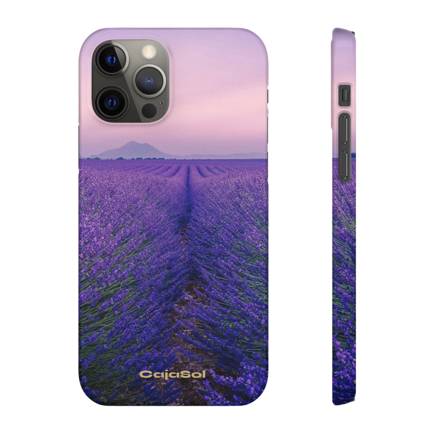 Lavender Fields Cajasol - A Floral Touch for Nature Lovers