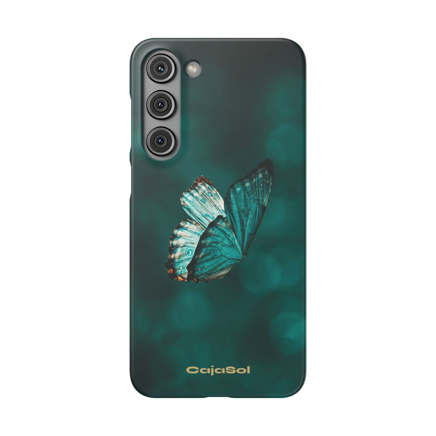 Butterfly Cajasol - Perfect for Nature Lovers