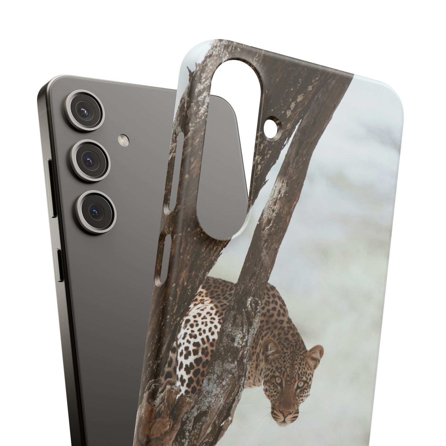 Leopard Cajasol - Wildlife Vibes