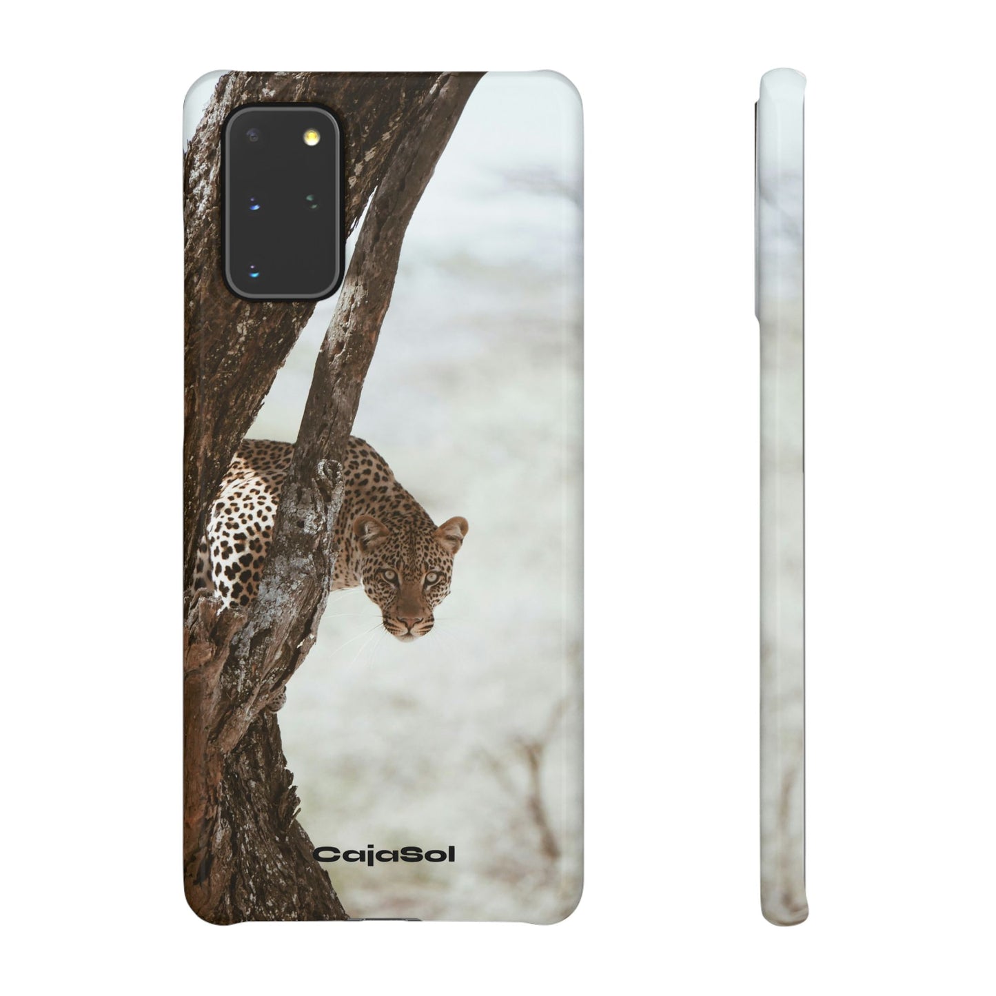 Leopard Cajasol - Wildlife Vibes