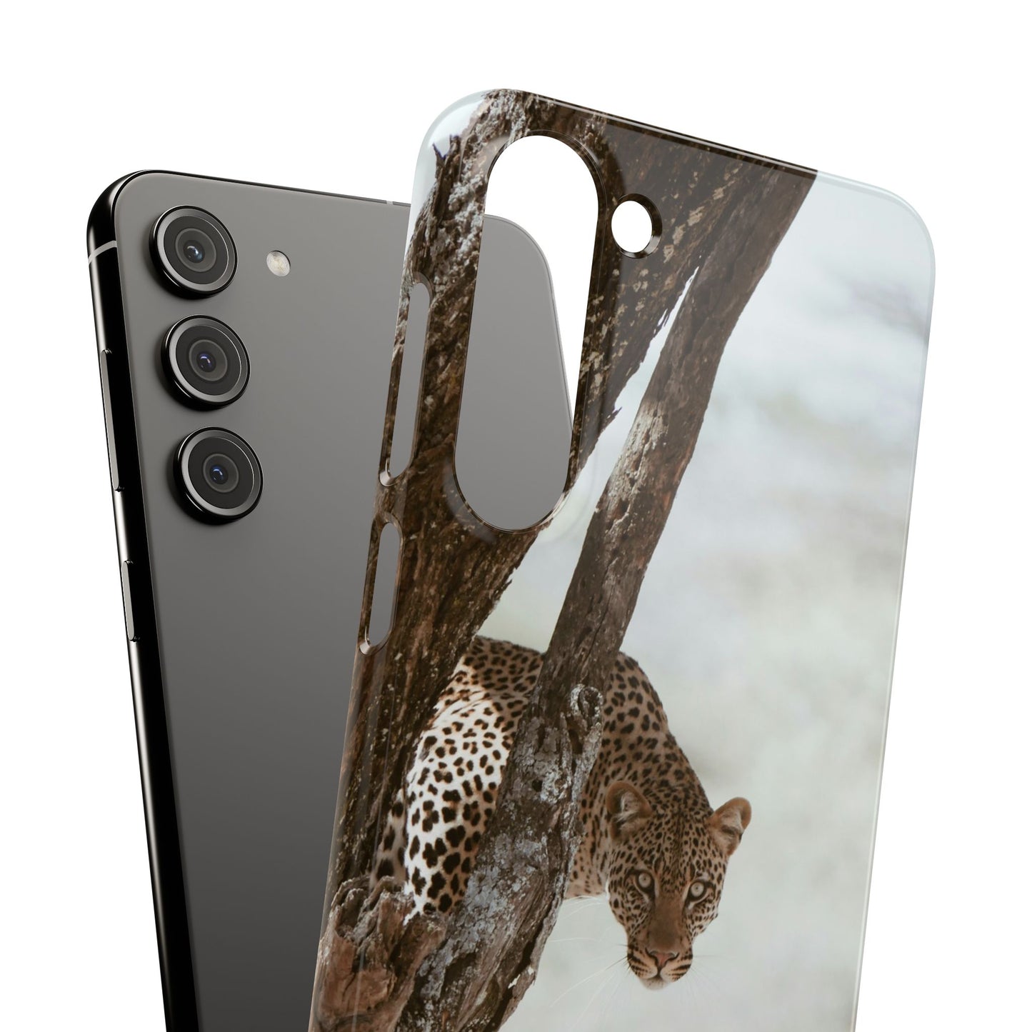 Leopard Cajasol - Wildlife Vibes