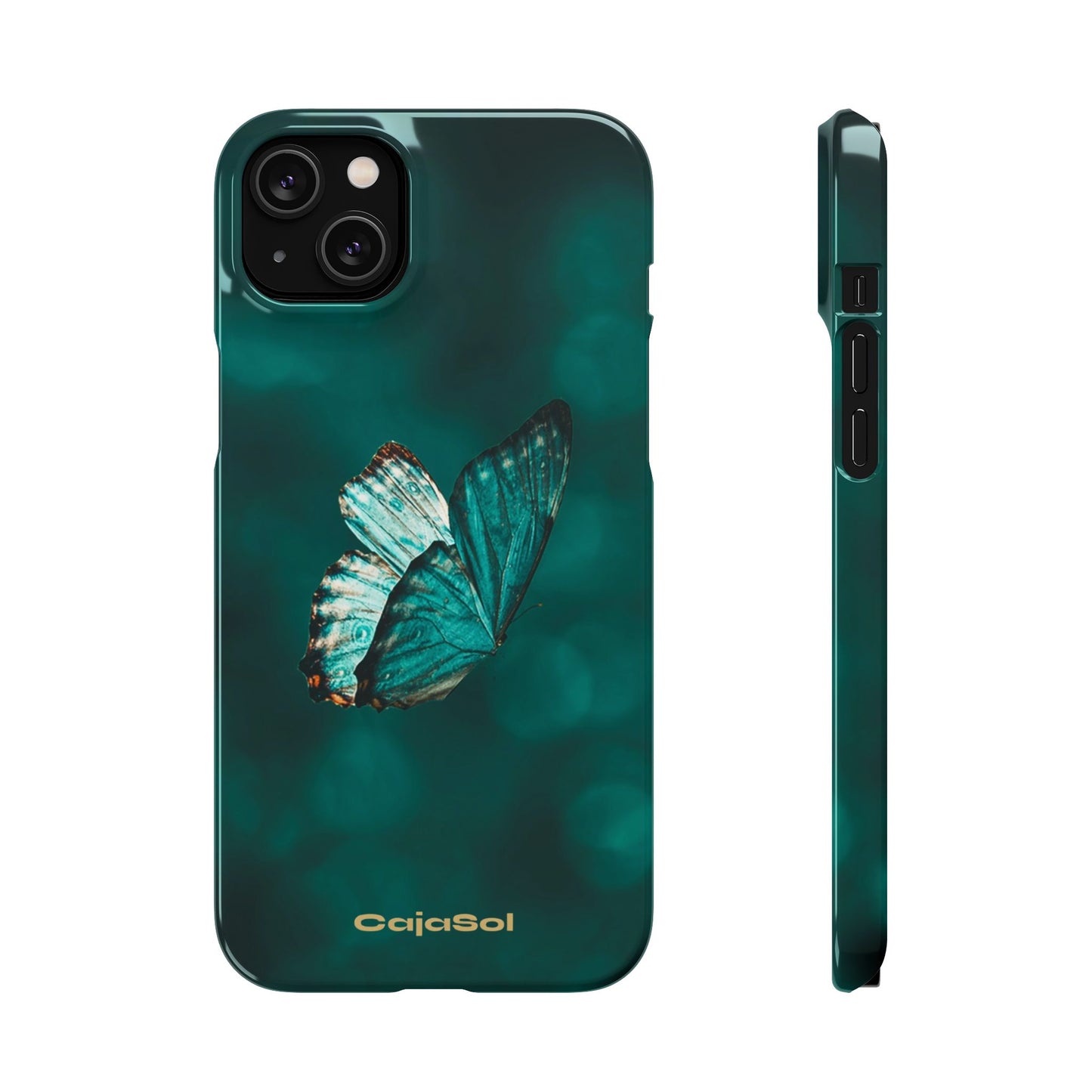 Butterfly Cajasol - Perfect for Nature Lovers