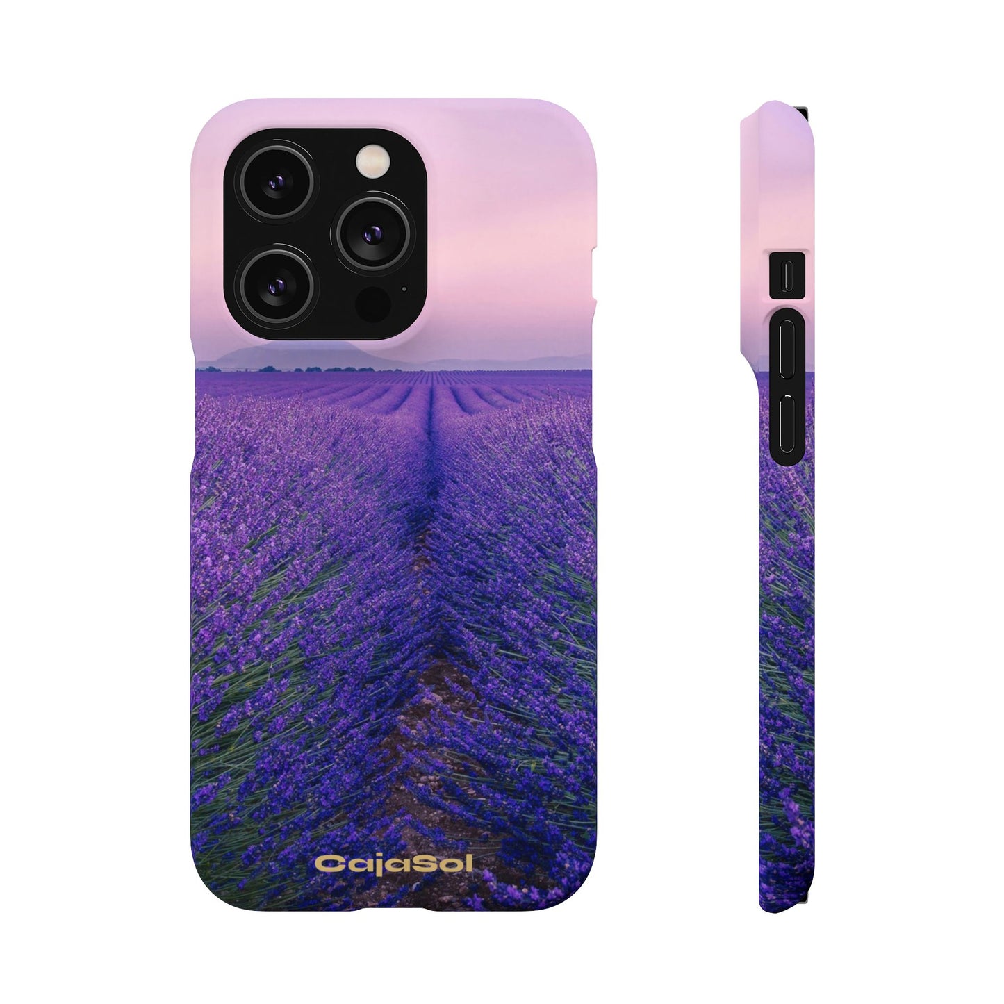 Lavender Fields Cajasol - A Floral Touch for Nature Lovers