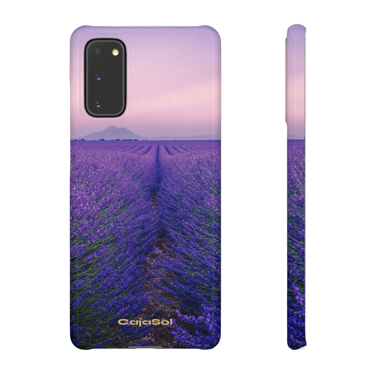 Lavender Fields Cajasol - A Floral Touch for Nature Lovers