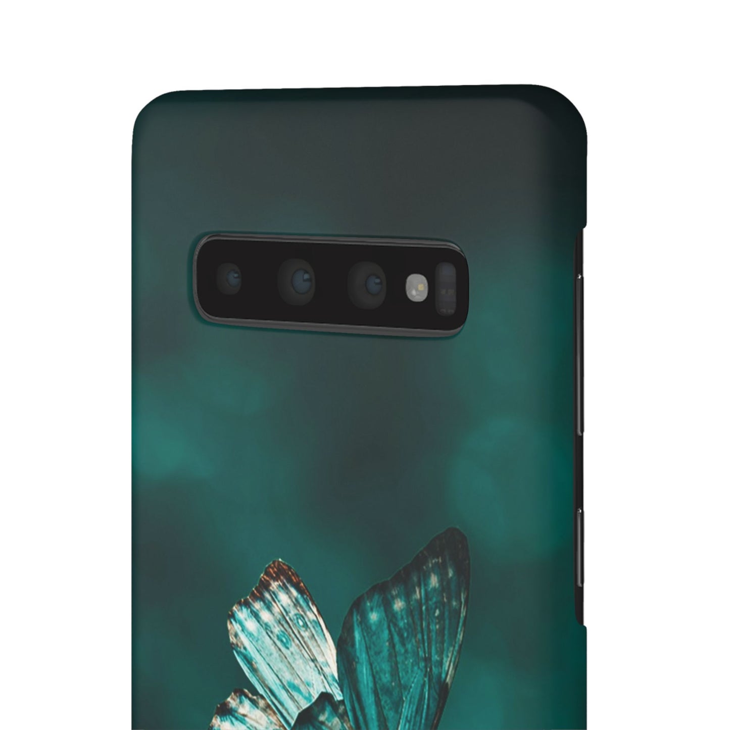 Butterfly Cajasol - Perfect for Nature Lovers
