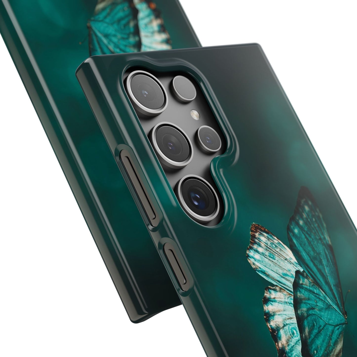 Butterfly Cajasol - Perfect for Nature Lovers
