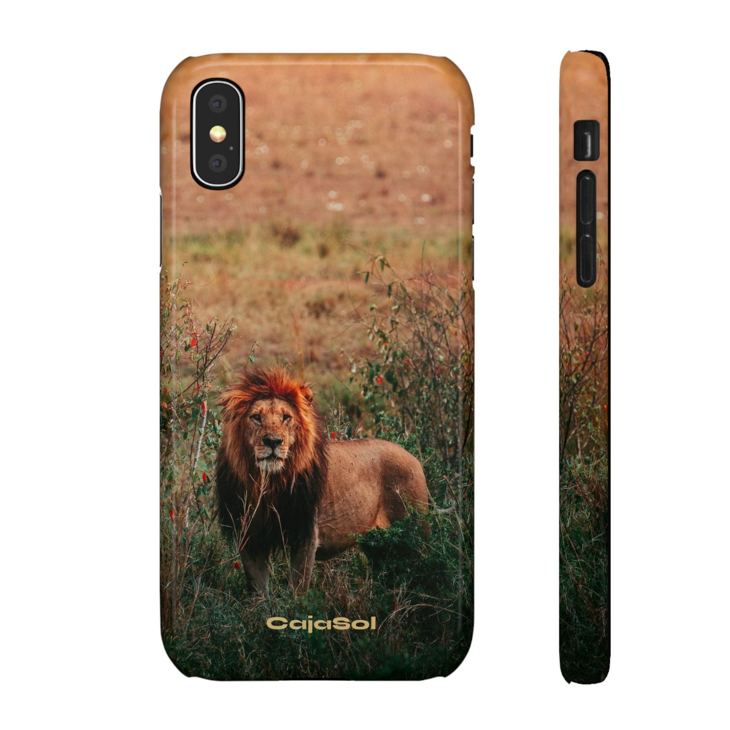 Majestic Lion Cajasol - Nature Inspired