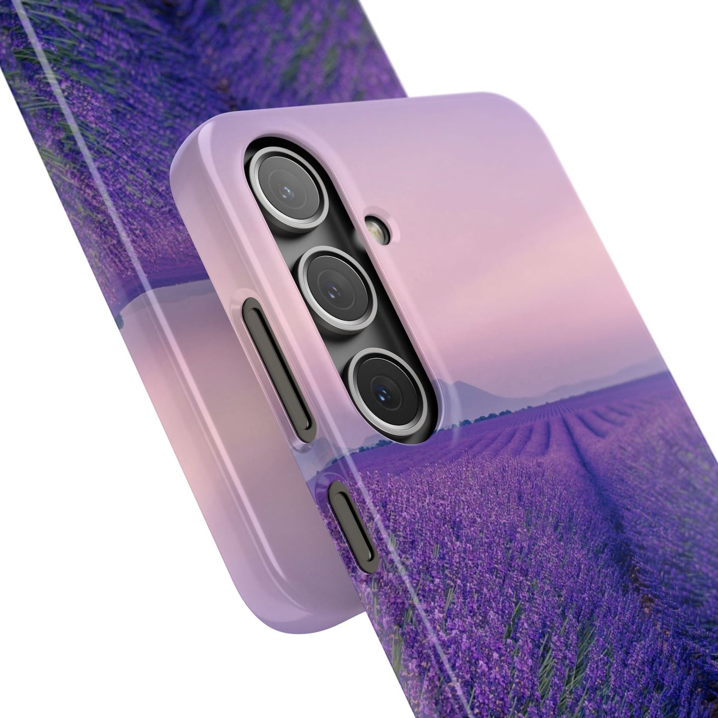 Lavender Fields Cajasol - A Floral Touch for Nature Lovers