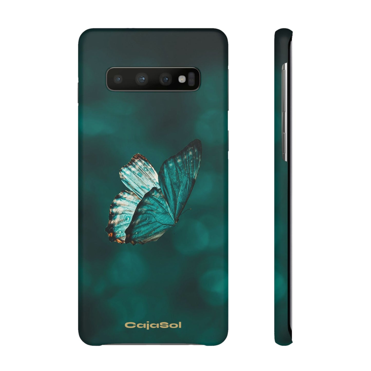Butterfly Cajasol - Perfect for Nature Lovers