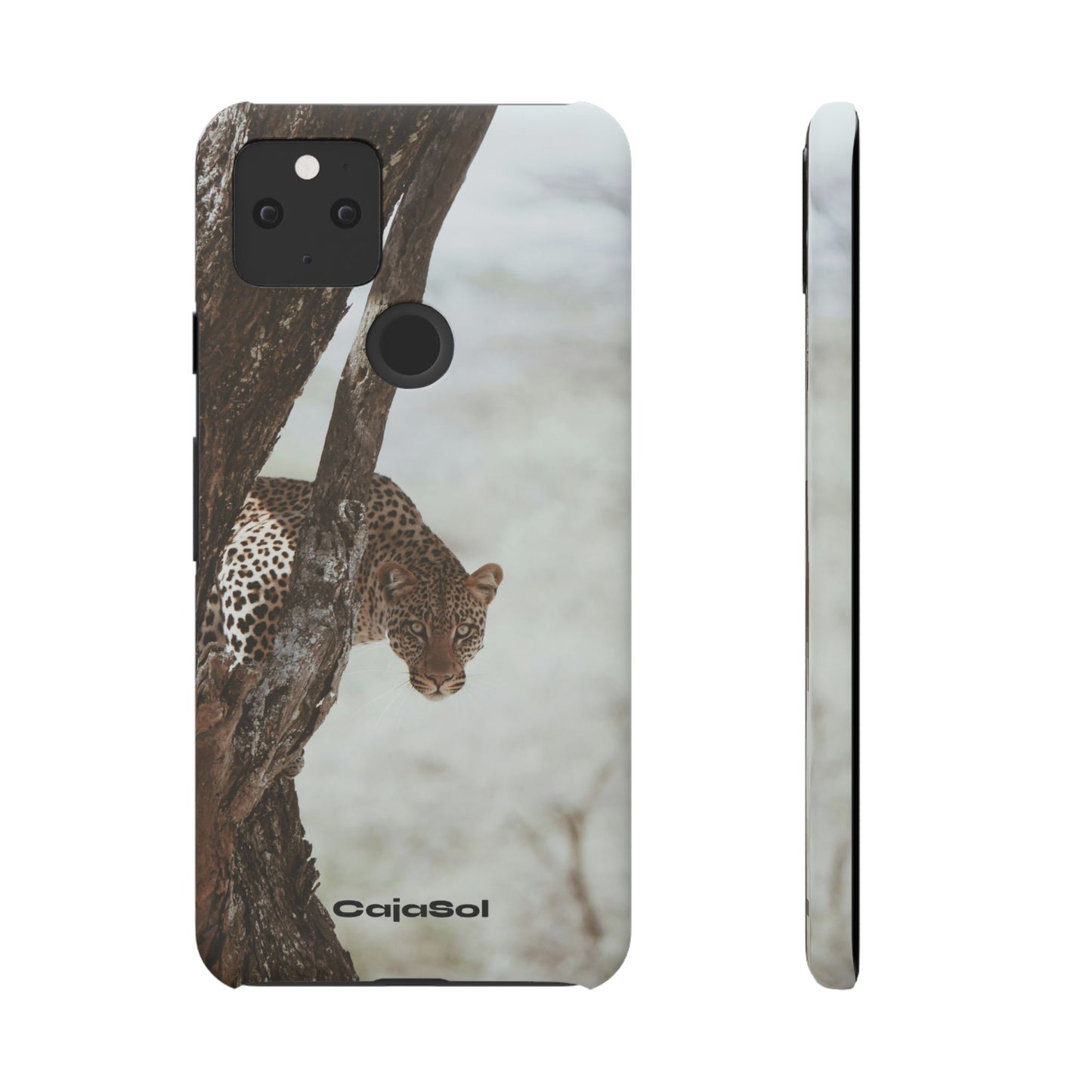 Leopard Cajasol - Wildlife Vibes