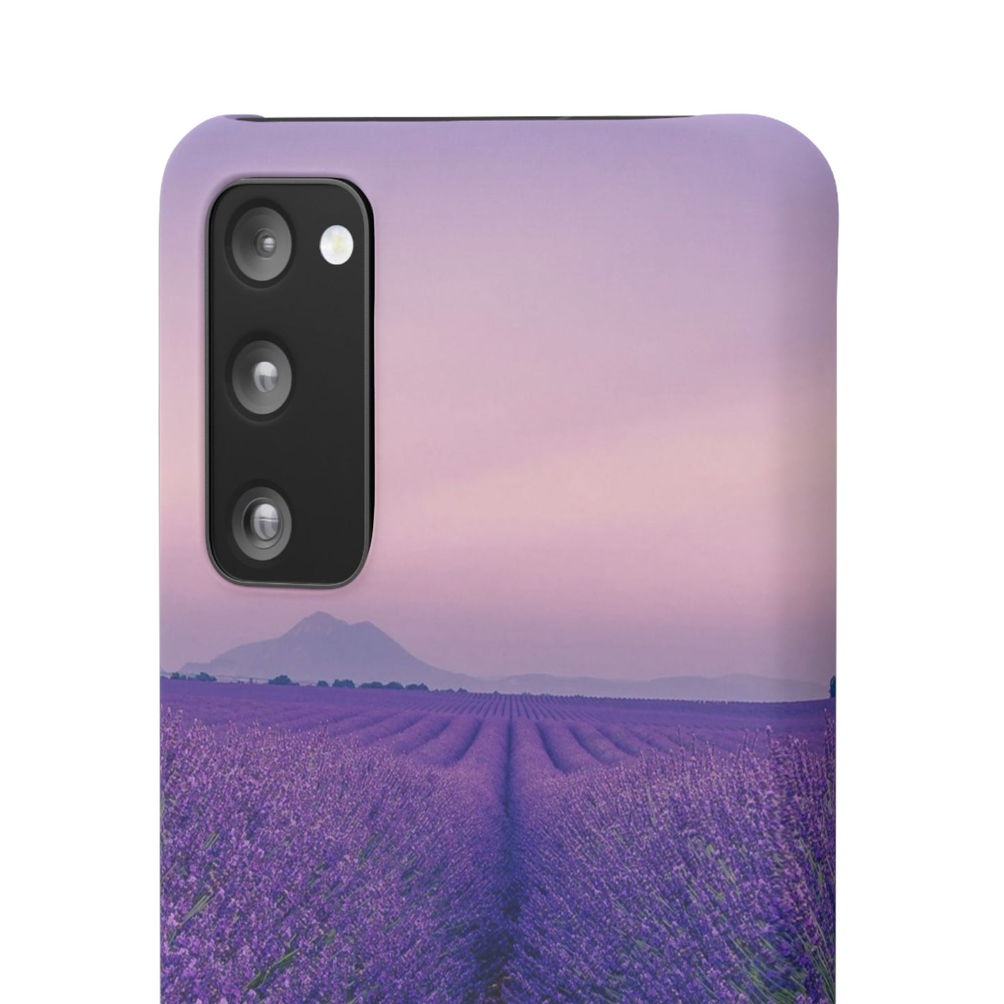 Lavender Fields Cajasol - A Floral Touch for Nature Lovers