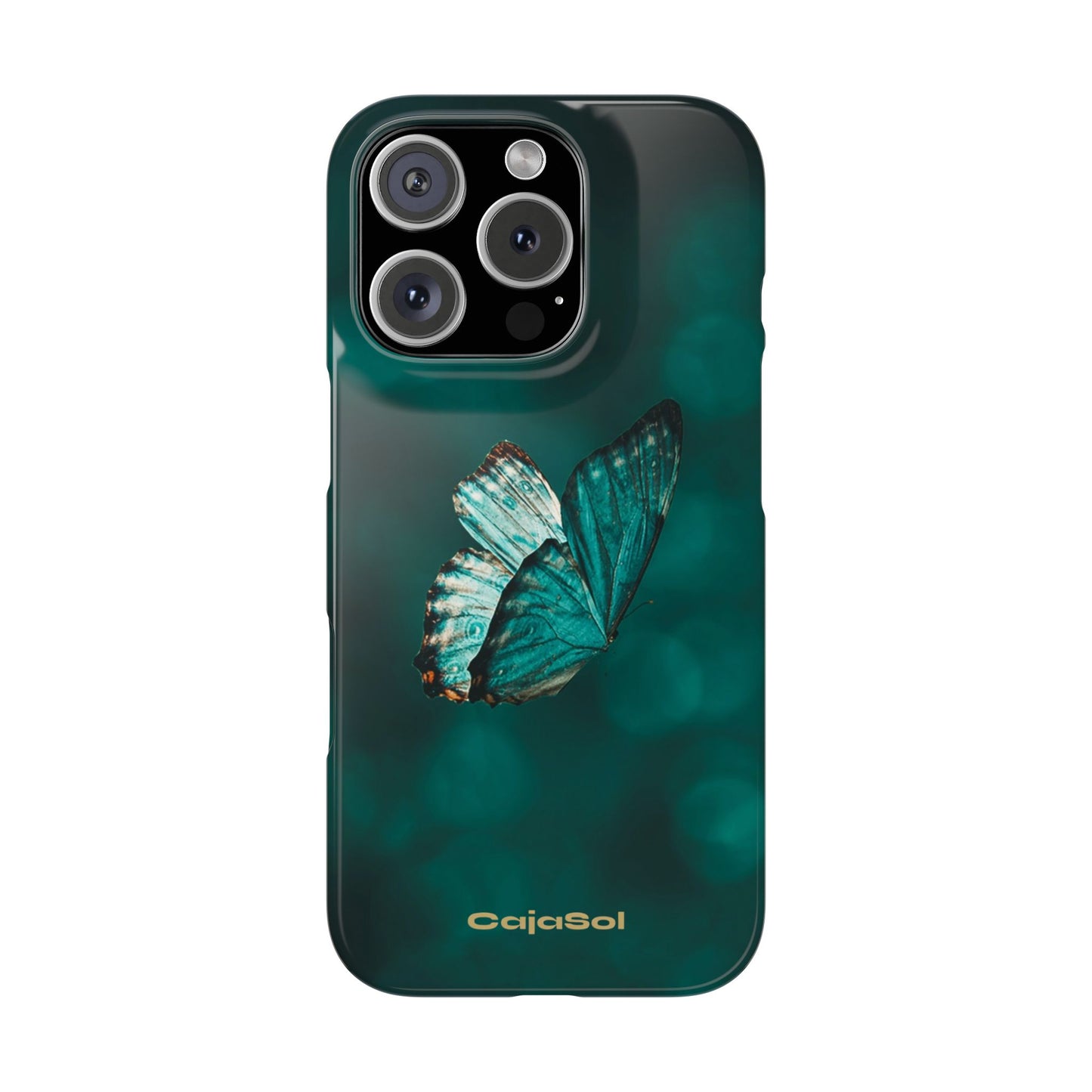 Butterfly Cajasol - Perfect for Nature Lovers