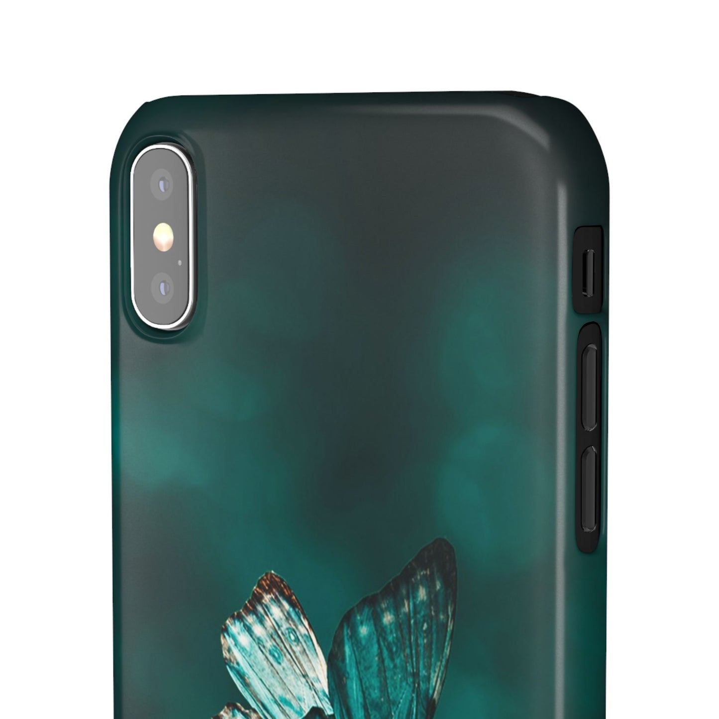 Butterfly Cajasol - Perfect for Nature Lovers