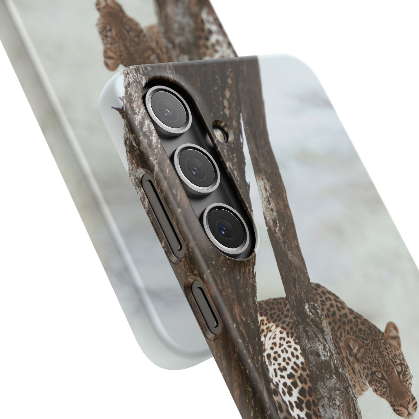 Leopard Cajasol - Wildlife Vibes