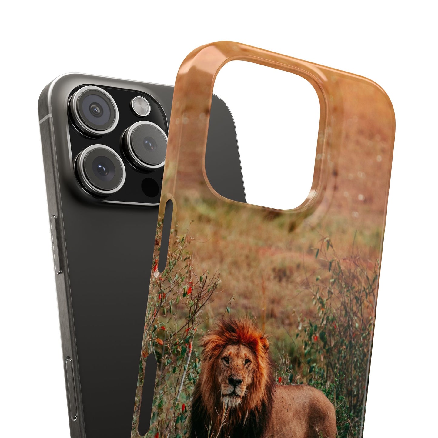 Majestic Lion Cajasol - Nature Inspired