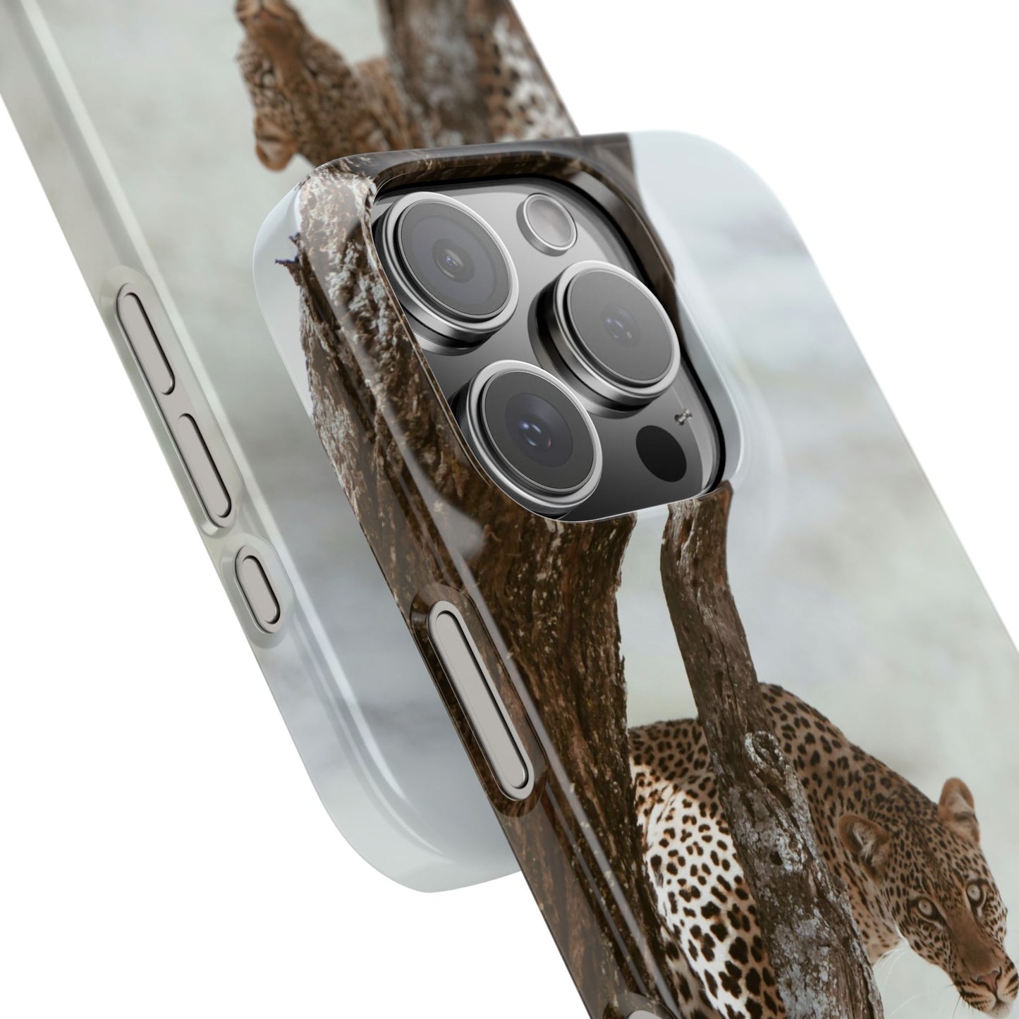 Leopard Cajasol - Wildlife Vibes