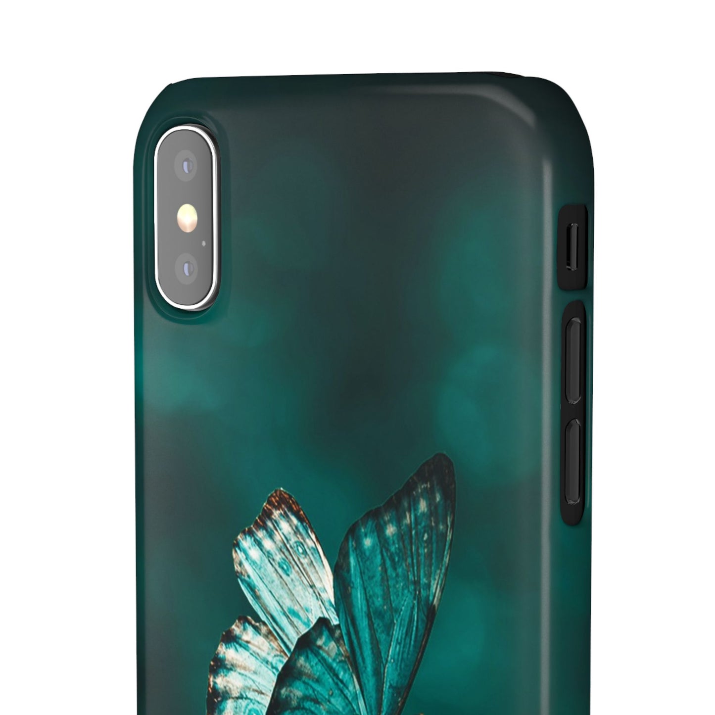 Butterfly Cajasol - Perfect for Nature Lovers