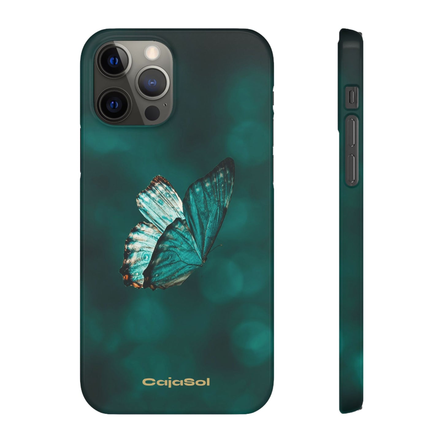 Butterfly Cajasol - Perfect for Nature Lovers