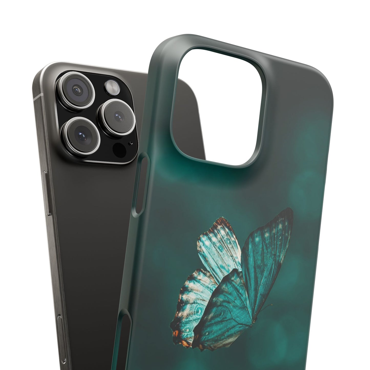 Butterfly Cajasol - Perfect for Nature Lovers