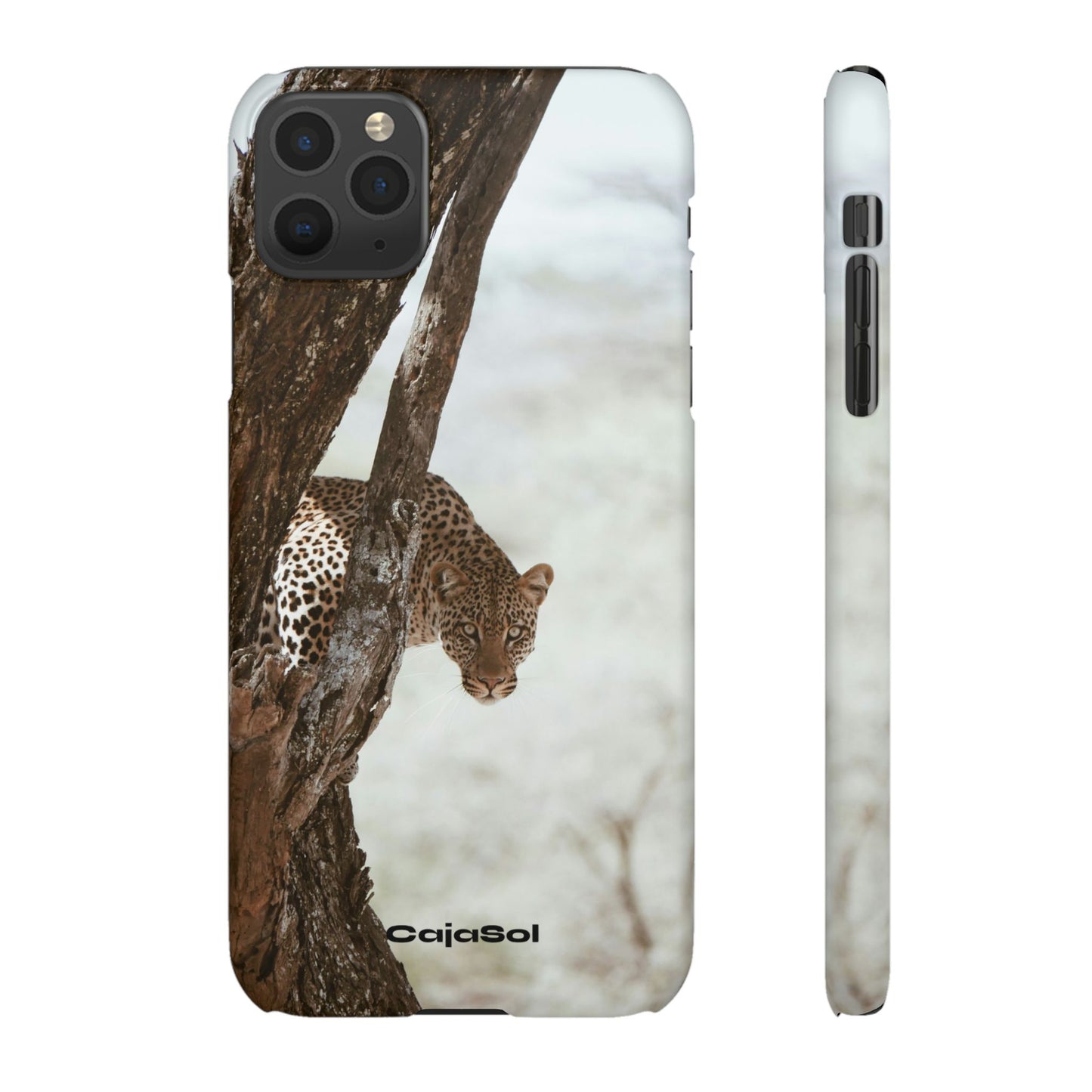 Leopard Cajasol - Wildlife Vibes